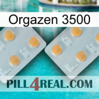 Orgazen 3500 25